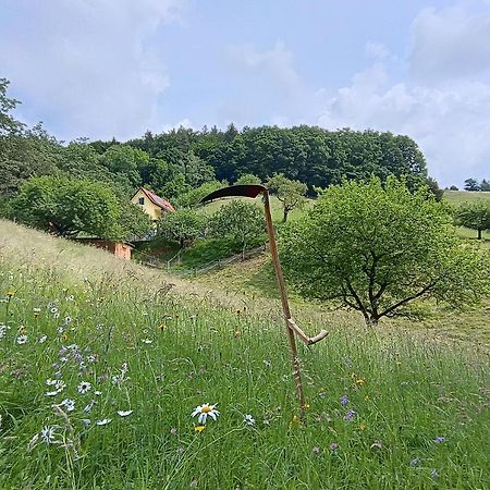 Ferienhaus Grabenhansl Stubenberg Luaran gambar