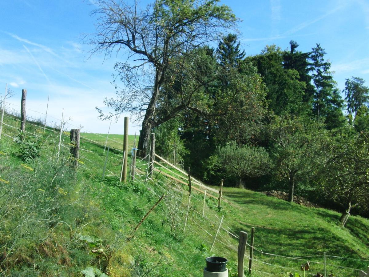 Ferienhaus Grabenhansl Stubenberg Luaran gambar