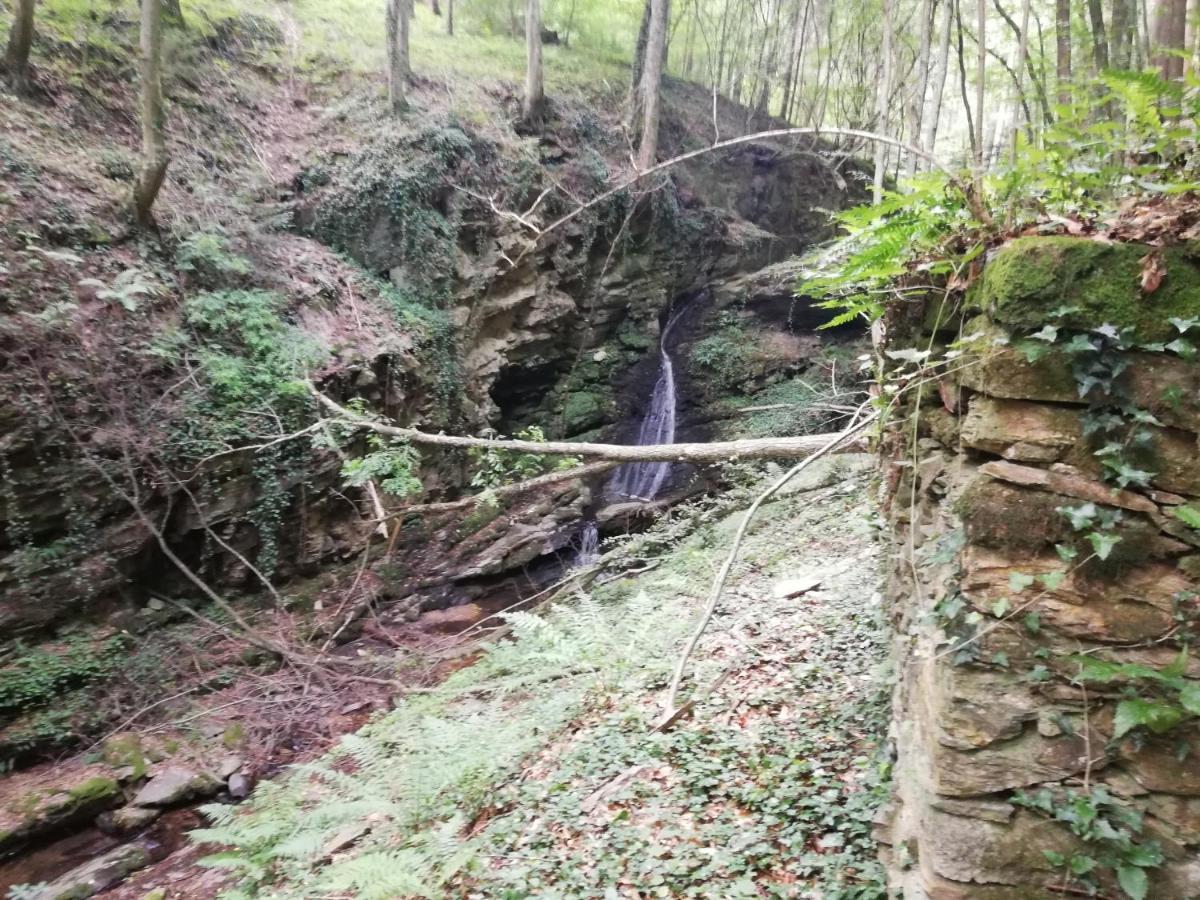 Ferienhaus Grabenhansl Stubenberg Luaran gambar