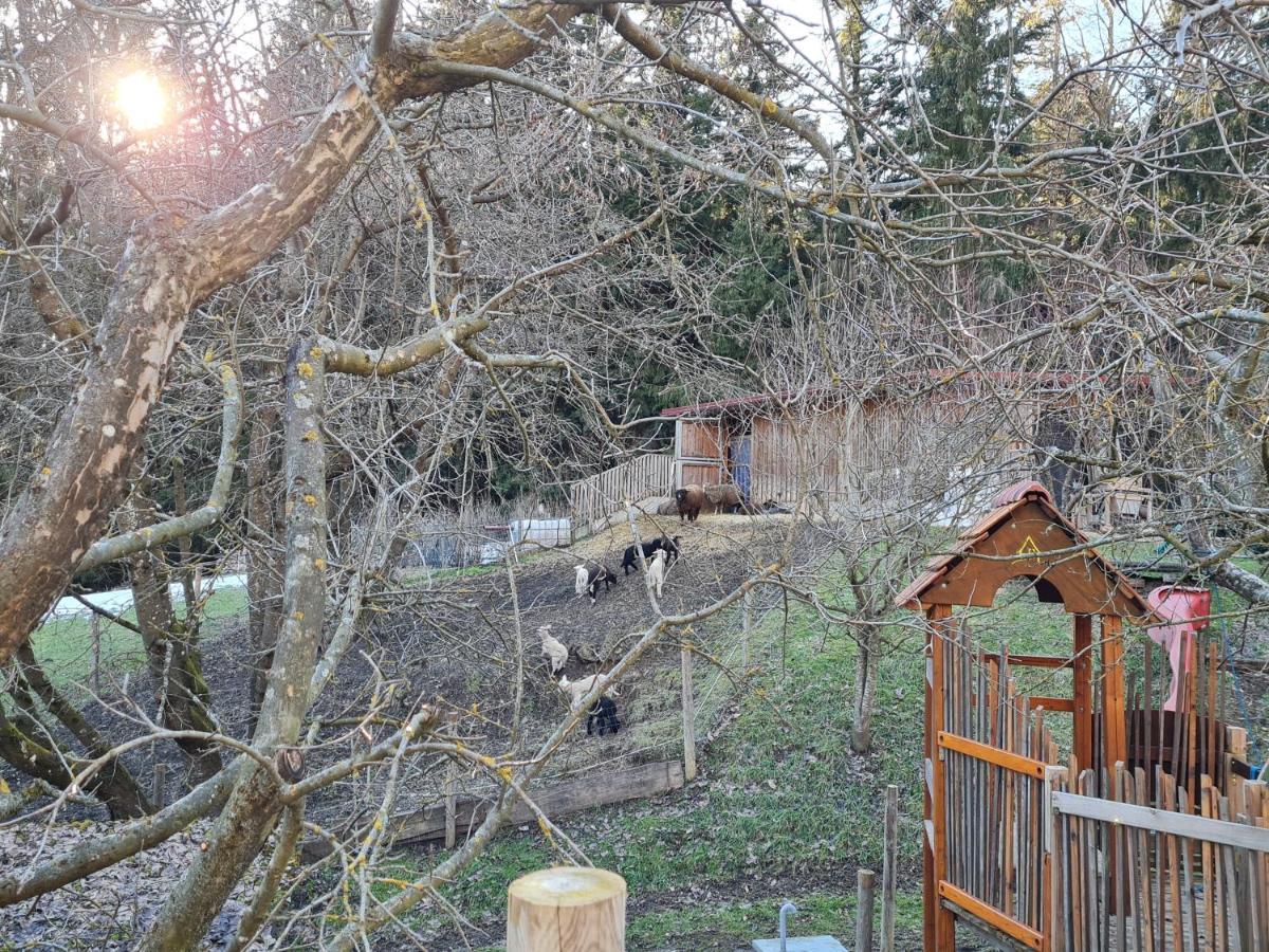 Ferienhaus Grabenhansl Stubenberg Luaran gambar