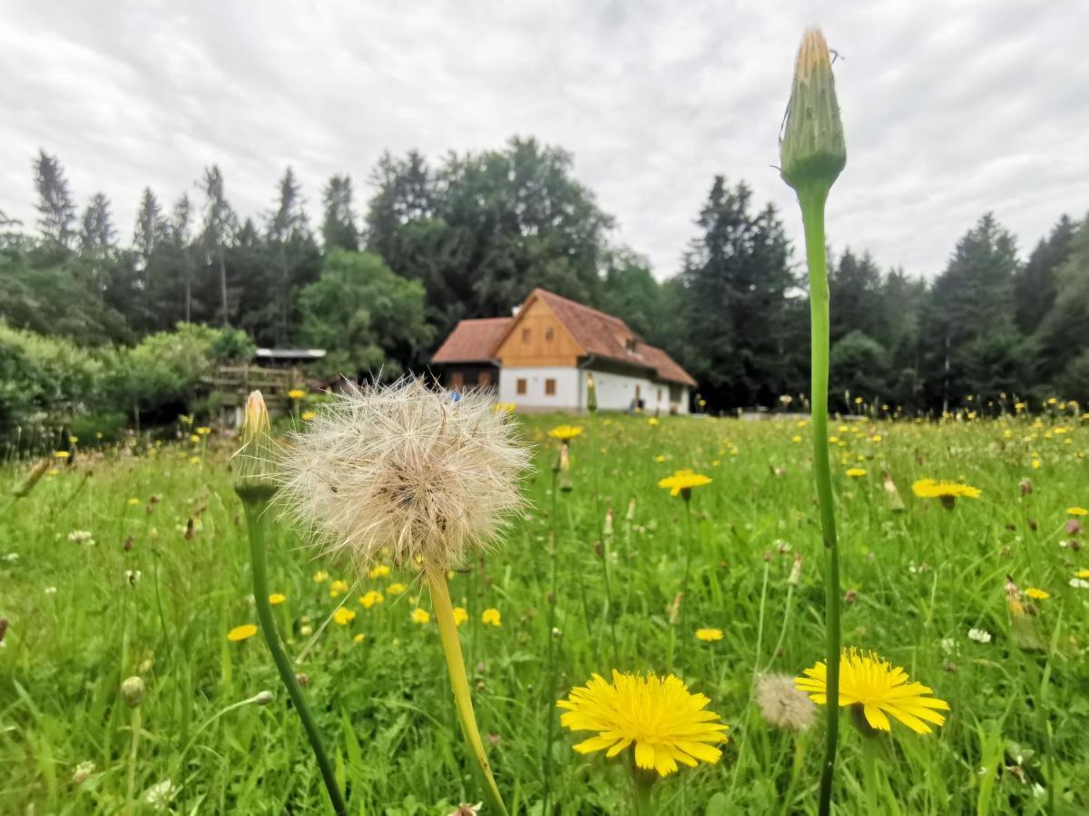 Ferienhaus Grabenhansl Stubenberg Luaran gambar