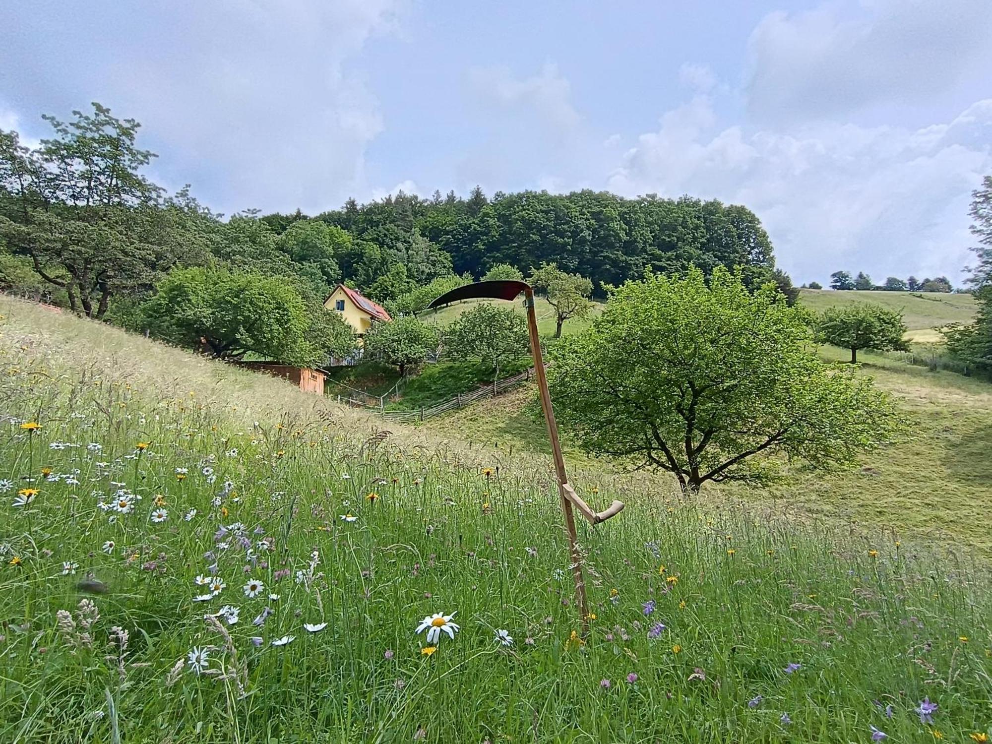 Ferienhaus Grabenhansl Stubenberg Luaran gambar