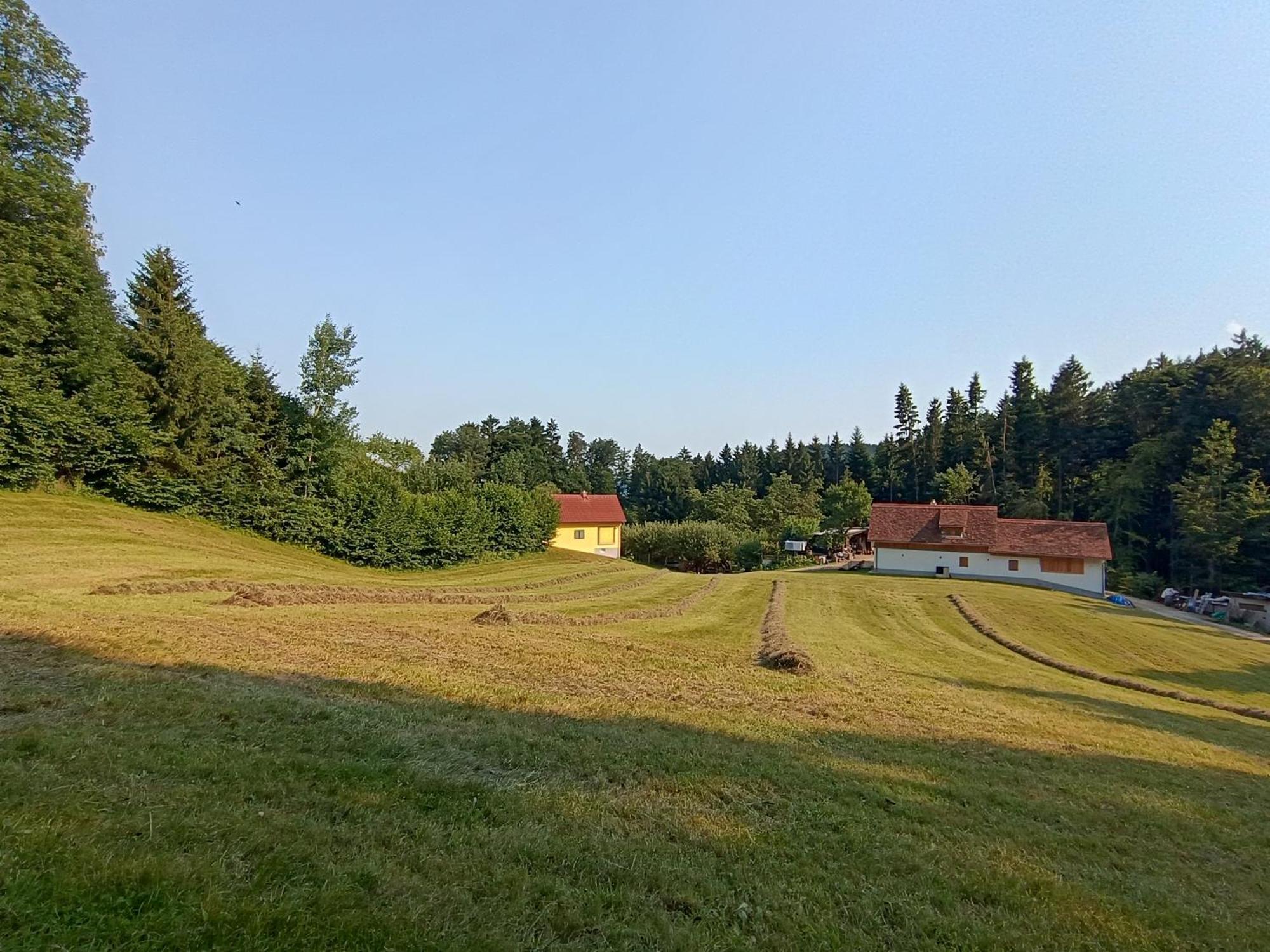 Ferienhaus Grabenhansl Stubenberg Luaran gambar