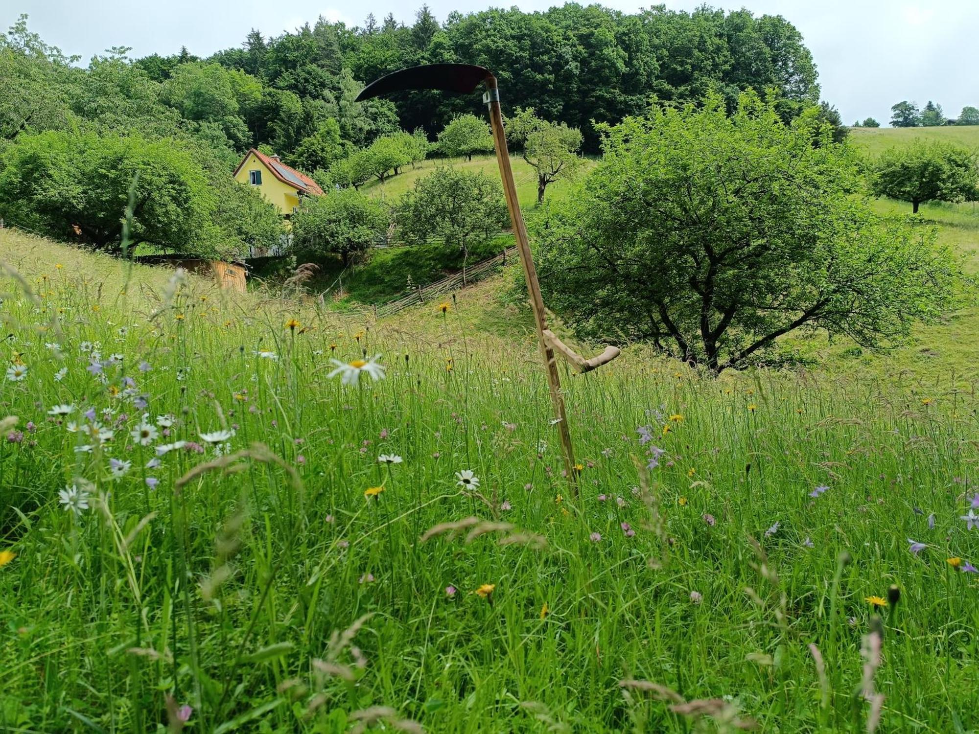 Ferienhaus Grabenhansl Stubenberg Luaran gambar